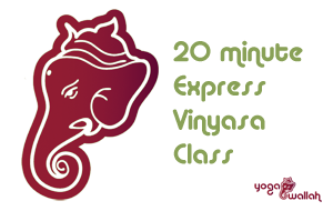 Yogawallah-20min Express Vinyasa Class Image