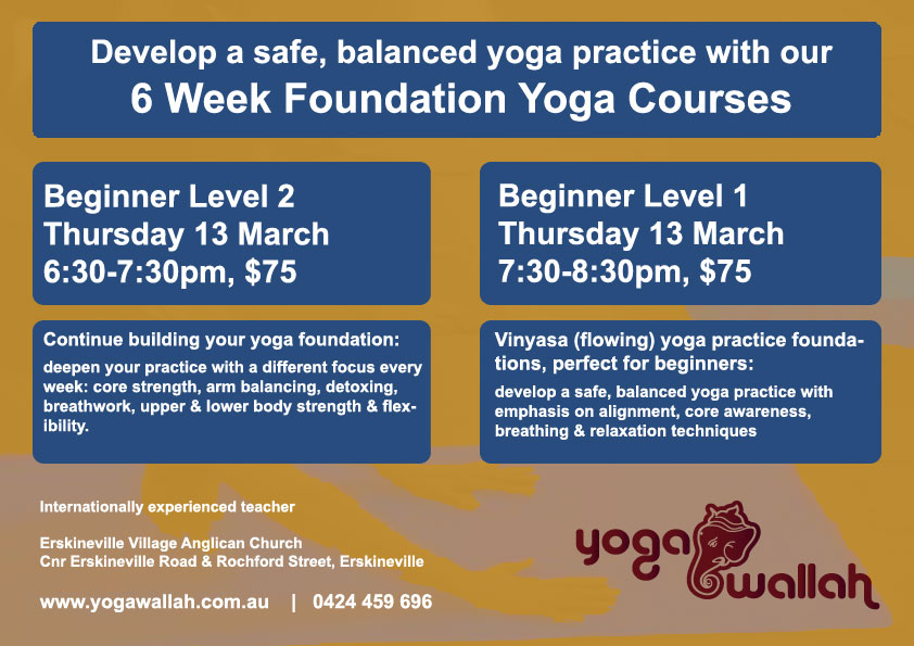 Yoga_found_mar2014_blu_yel_shadow_land_L21 6 Week Foundation Yoga Course Image